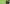 Promotion banner